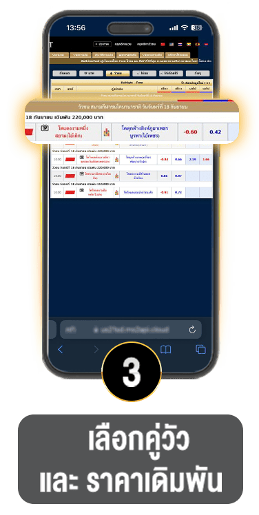 วิธีแทงวัวชน