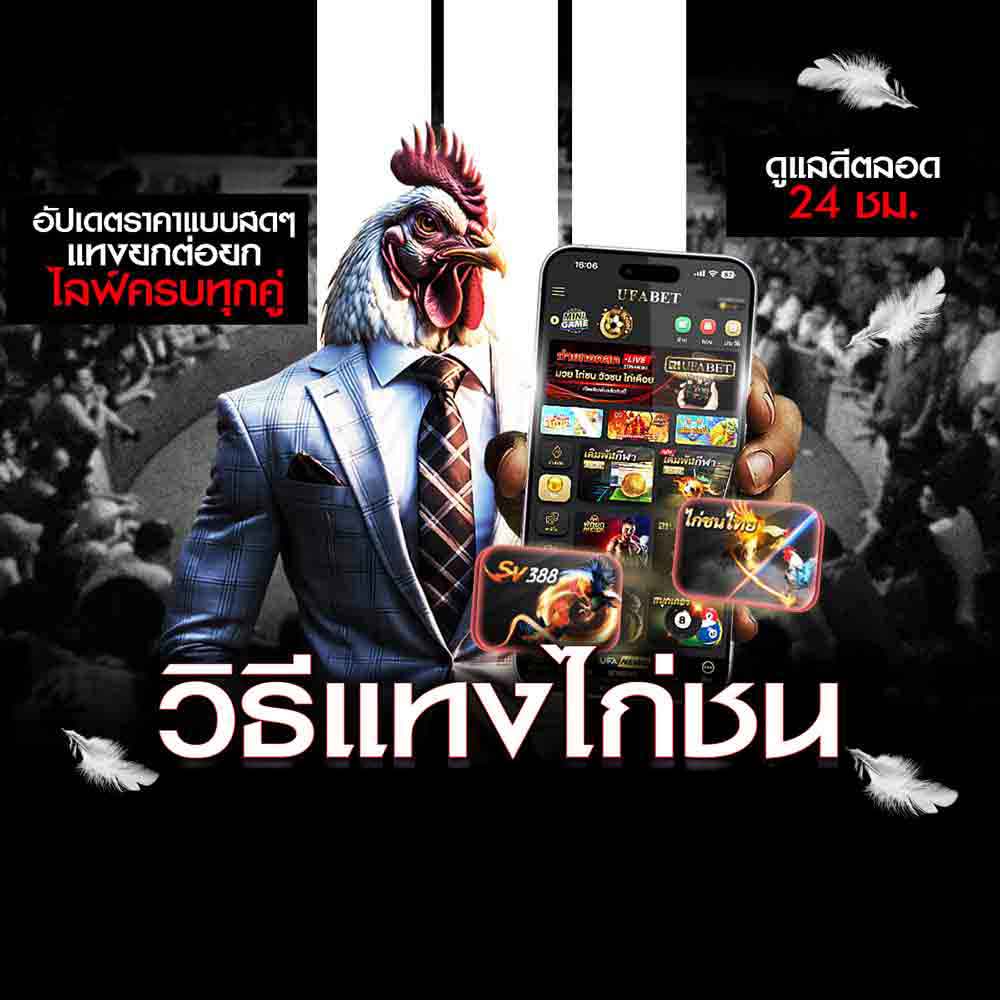 วิธีแทงไก่ชน