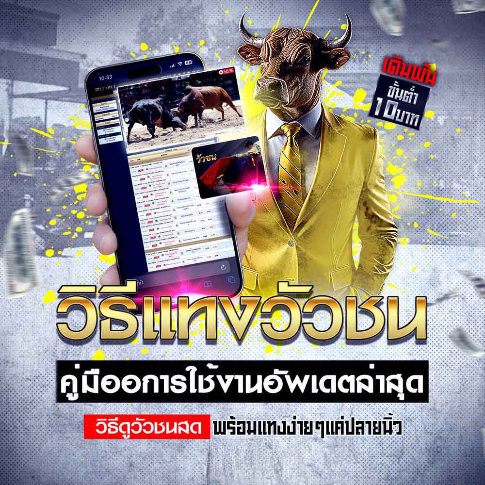 วิธีแทงวัวชน